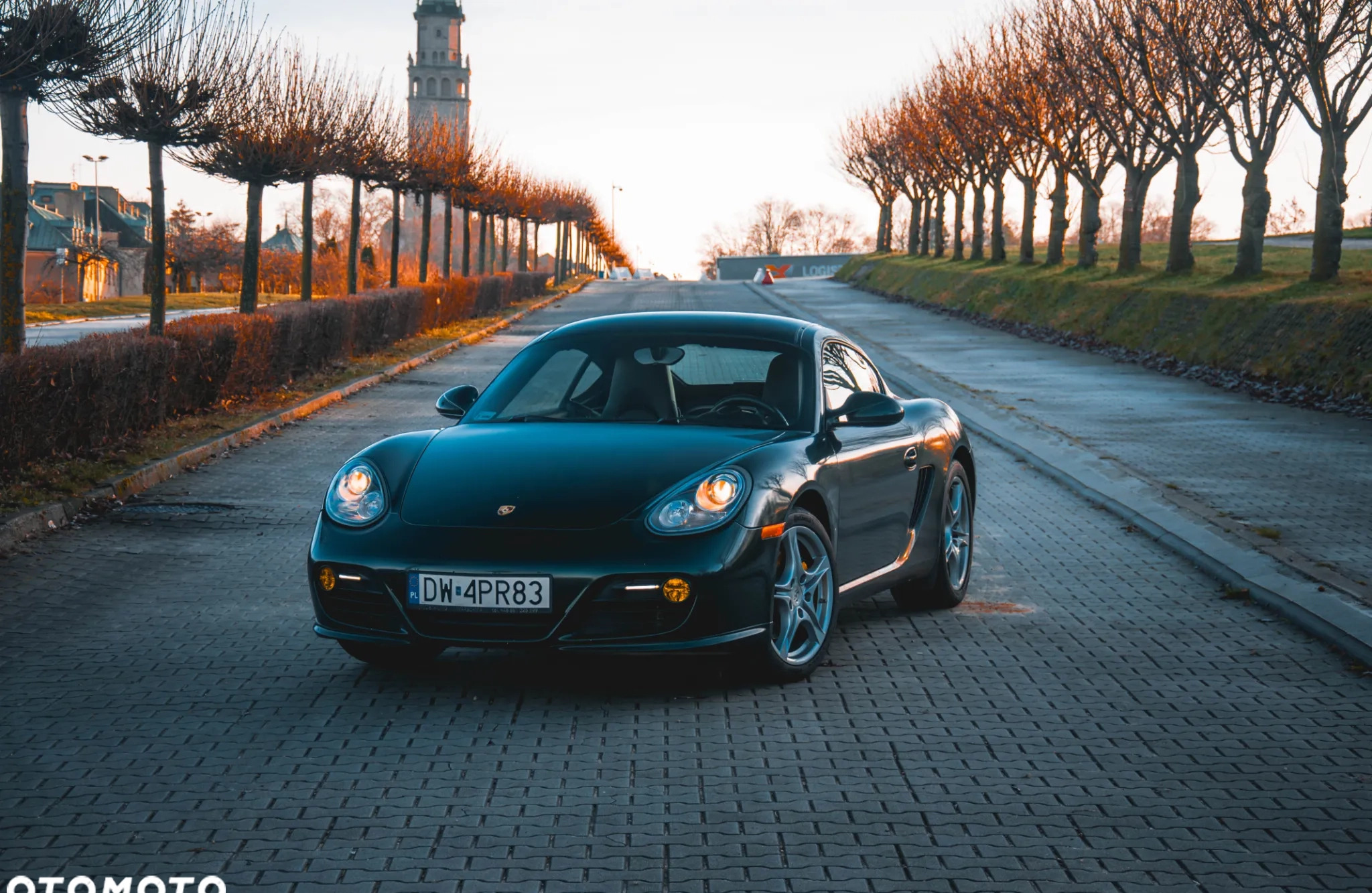 Porsche Cayman cena 165000 przebieg: 116000, rok produkcji 2011 z Częstochowa małe 121